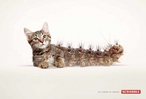 Publicité print Scrabble Cat-Erpillar
